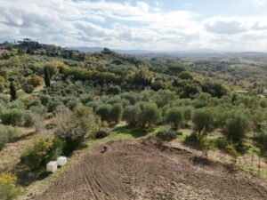 La vita in tenuta