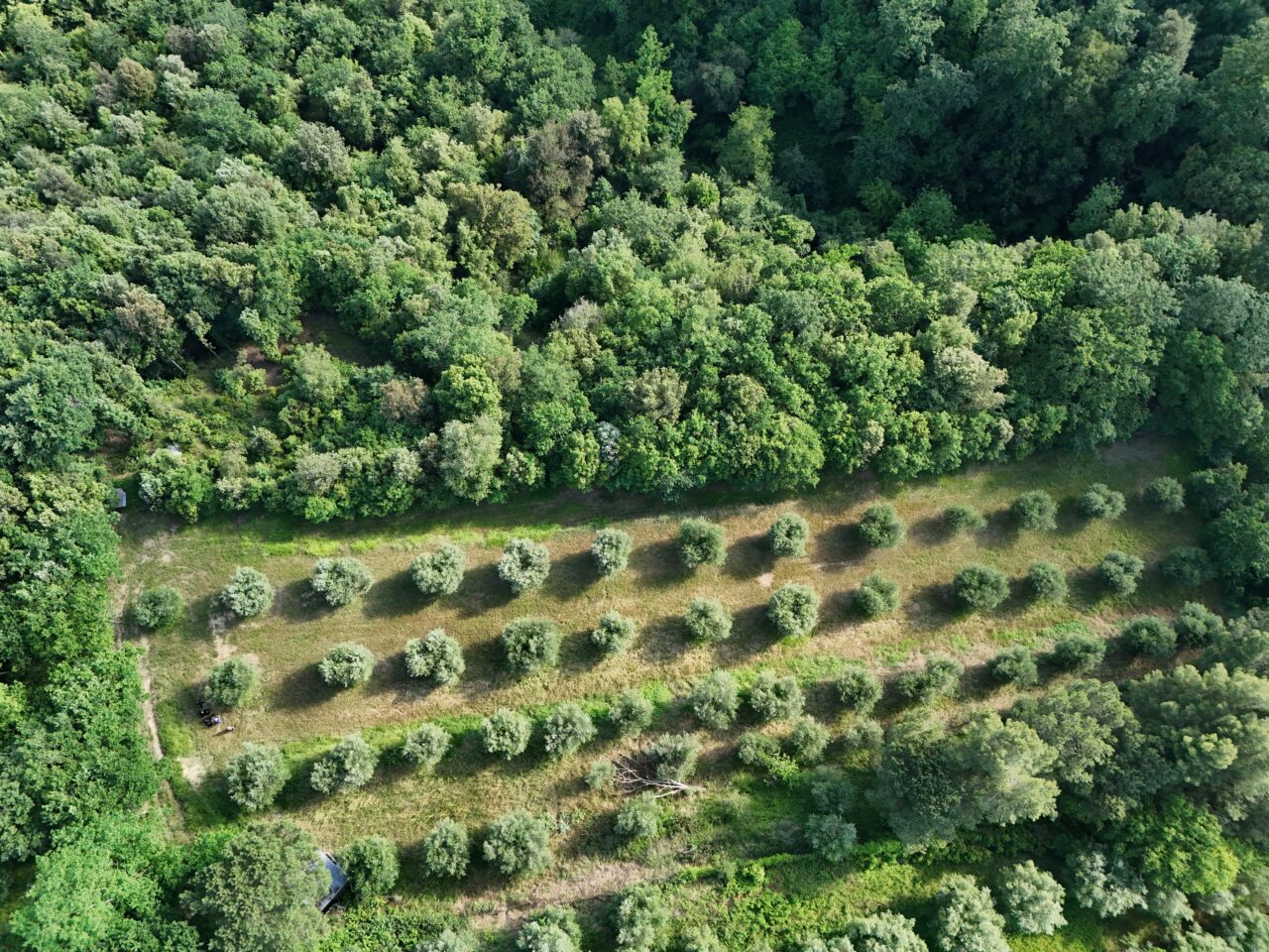 Veduta aerea della tenuta di Legoli